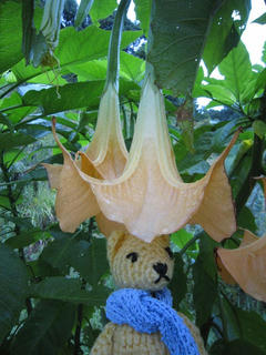 1010IMG_1065.jpg