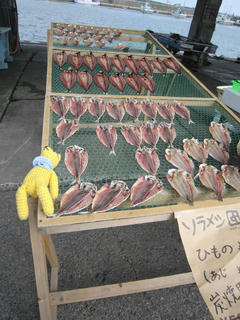 1017IMG_1139.jpg