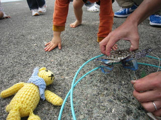 1018IMG_1124.jpg
