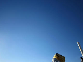 1102IMG_1369.jpg