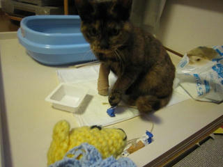 1118IMG_1636.jpg