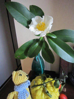 1128IMG_1816.jpg