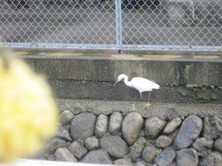 1203IMG_1865.jpg