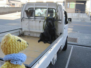 1211IMG_1903.jpg