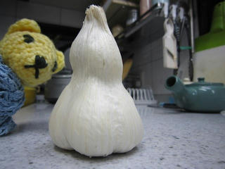 1220IMG_2500.jpg