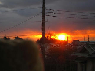 0113IMG_3234.jpg
