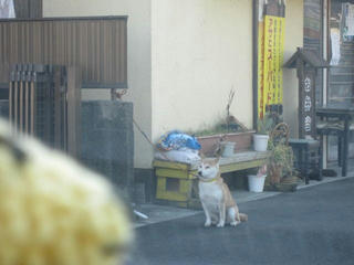 0119IMG_3259.jpg
