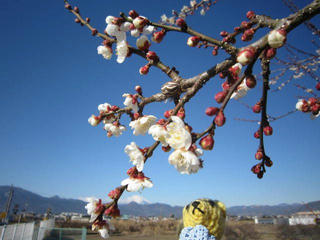 0120IMG_3262.jpg