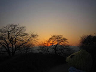 0204IMG_3467.jpg