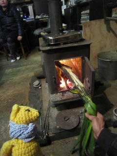 0205IMG_3513.jpg