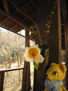 0208IMG_3531.jpg
