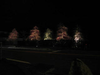 0215IMG_3537.jpg