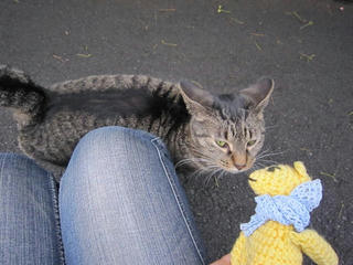 0218IMG_3677.jpg