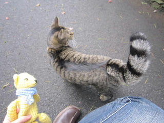 0218-1IMG_3676.jpg