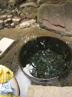 0222IMG_3440.jpg