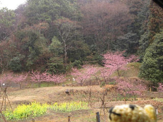0302IMG_3773.jpg