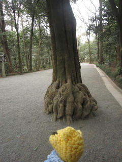 0306IMG_3445.jpg