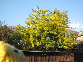 0309IMG_3884.jpg