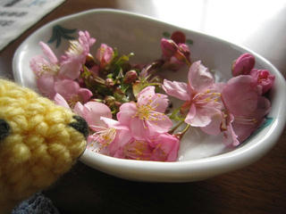 0312IMG_3956.jpg