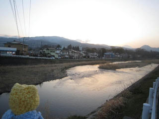 0313IMG_3982.jpg
