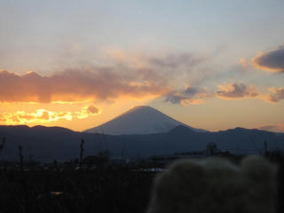 0326IMG_4128.jpg