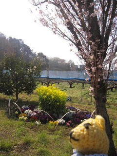 0331IMG_4177.jpg