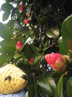 0401IMG_4145.jpg