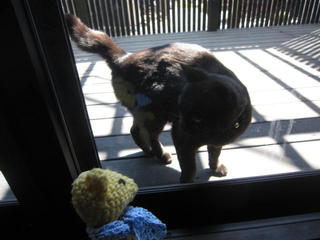 0405IMG_4311.jpg