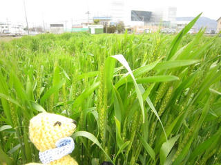0407IMG_4318.jpg