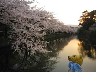 0411IMG_4513.jpg