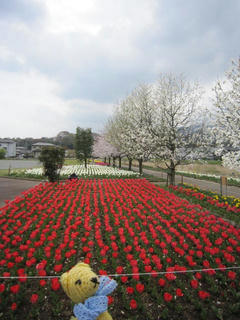 0414-1IMG_4372.jpg