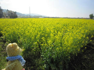 0420IMG_4727.jpg