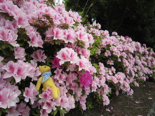 0505IMG_4848.jpg