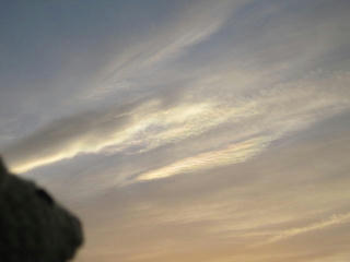 0516IMG_4945.jpg
