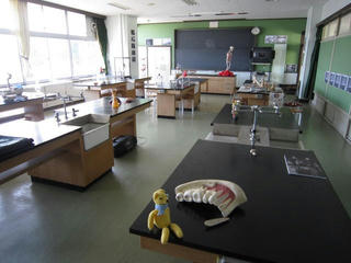 0524-5IMG_5065.jpg