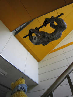 0524-6IMG_5100.jpg
