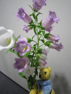 0601IMG_5314.jpg