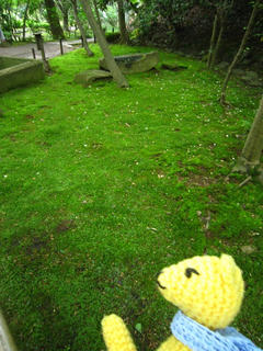 0602IMG_5244.jpg