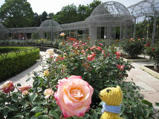 0603IMG_5325.jpg