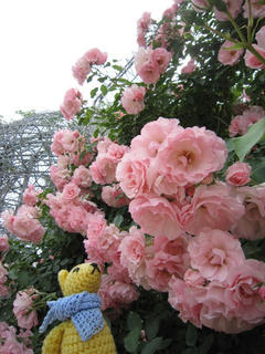 0603-2IMG_5341.jpg