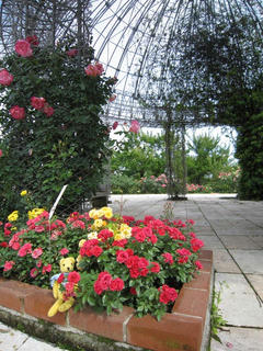 0603-4IMG_5334.jpg