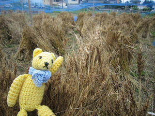 0609IMG_5378.jpg