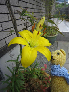 0617IMG_5464.jpg