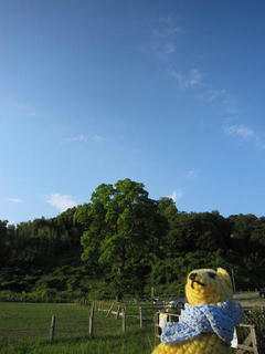 0709IMG_5816.jpg