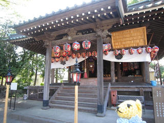 0710IMG_5818.jpg