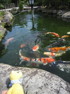 0712IMG_5699.jpg