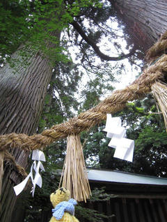 0717IMG_5607.jpg