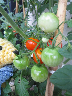 0720IMG_5912.jpg