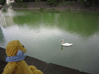 0727IMG_6030.jpg