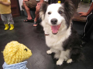 0803IMG_6110.jpg